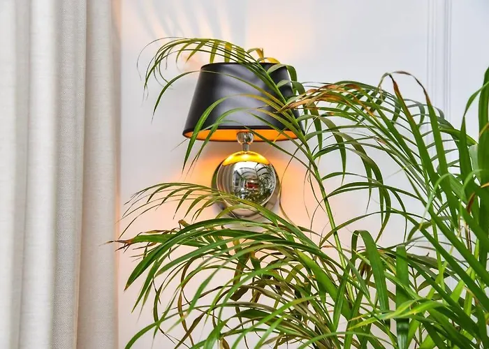 New & Luxury 5* With Breathtaking View- Kiki Lu